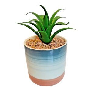 Succulent Flower Arrangement Bouquet Centerpiece Blue White Green Pink Ceramic